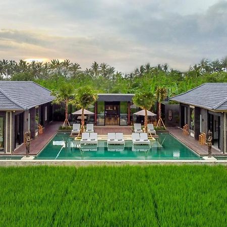 Villa Luna Lotus By Balisuperhost 乌布 外观 照片
